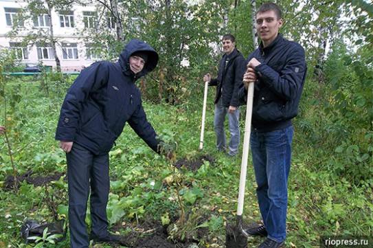 В Анжеро-Судженске состоялся Единый день посадки деревьев В Анжеро-Судженске состоялся Единый день посадки деревьев
